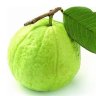 guava